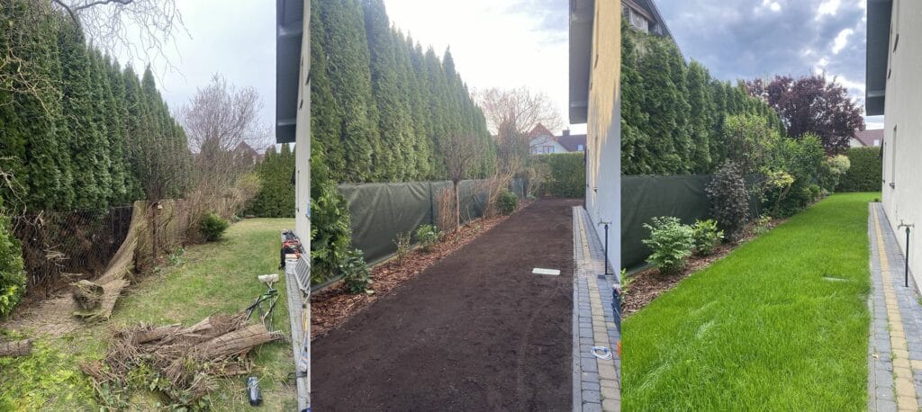 Pierwsze koszenie młodego trawnika po kompleksowej budowie ogrodu